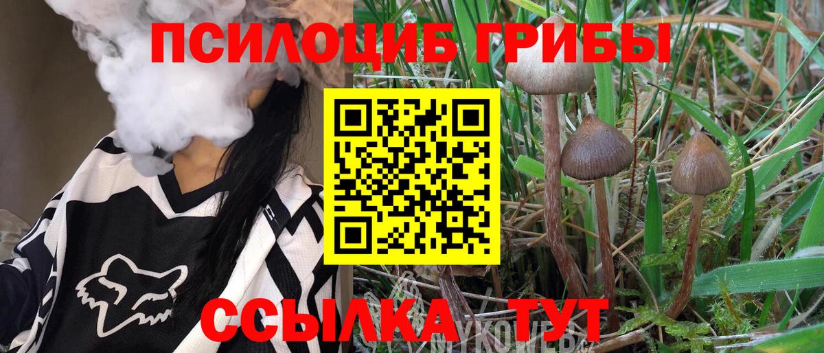 Обь  Псилоцибиновые грибы ЛСД  Вход с VPN 