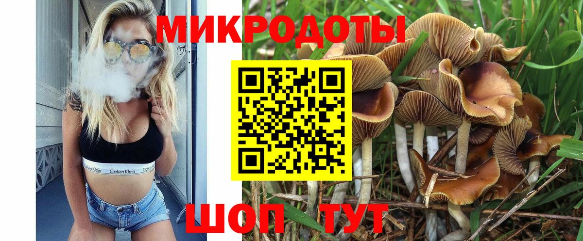 Псилоцибиновые грибы Cubensis Обь